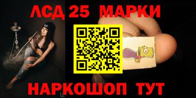 скорость Кингисепп