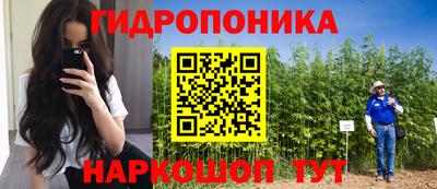 PSILOCYBIN Кимры