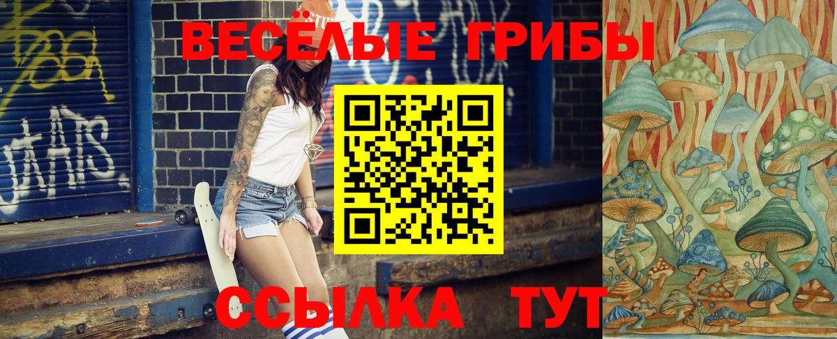 Лесозаводск  Галлюциногенные грибы Psilocybine cubensis  Вход с VPN  Псилоцибиновые грибы GOLDEN TEACHER 